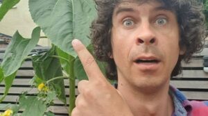 Andy Day