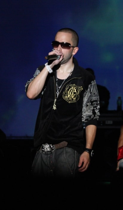 Yandel performing at a concert in 2008