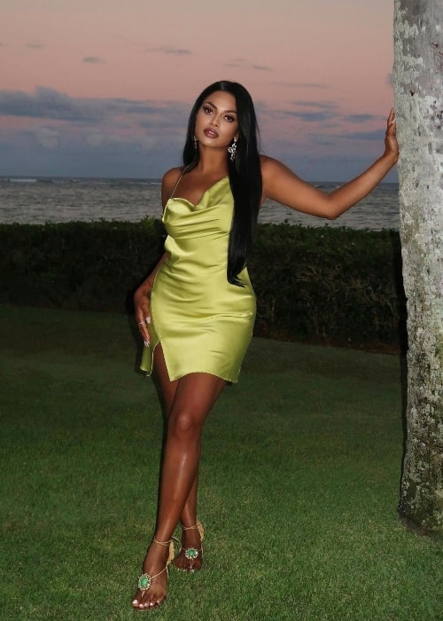 Chandrika Ravi as seen while posing in a stunning dress in Hawaii in 2021
