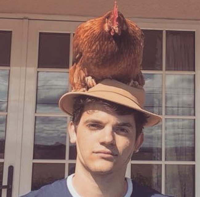 Edward Bluemel having a good time with a chicken on his head in July 2015