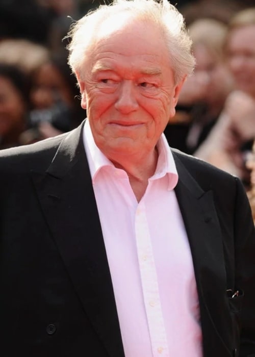 Michael Gambon as seen in a picture that was taken at the premiere of Harry Potter and the Deathly Hallows Part 2 in July 2011