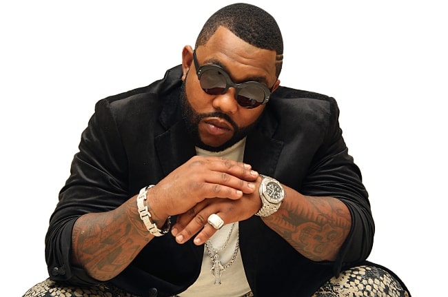 Gorilla Zoe in 2014