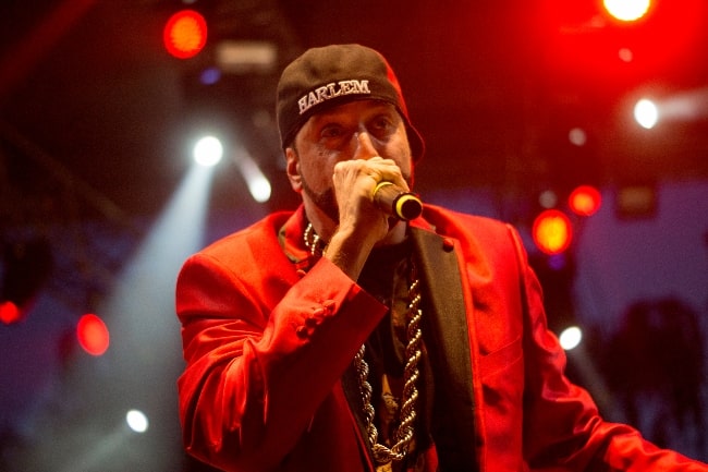 R.A. the Rugged Man as seen while performing at the Hip-Hop Kemp in Hradec Kralove in 2013