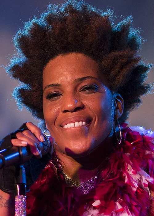 Macy Gray at the Blue Mountains Festival in 2015