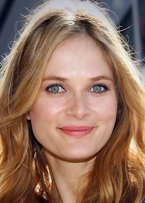 Rachel Blanchard at the Toronto Festival in 2008