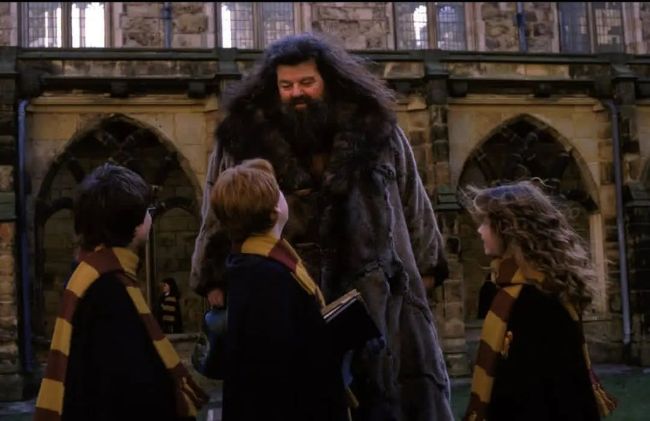 Robbie Coltrane seen dressed as Hagrid from the Harry Potter film series