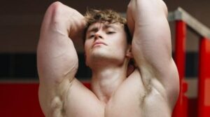 David Laid