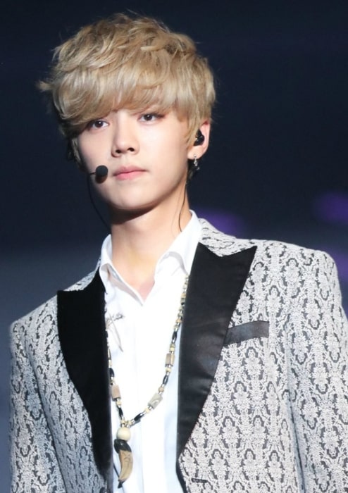 Lu Han as seen at the EXO Lost Planet in Singapore on August 23, 2014