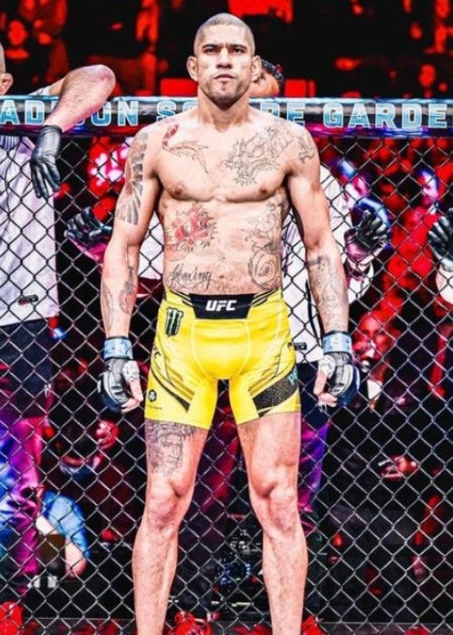 Alex Pereira Height Weight Family Facts Girlfriend Biography