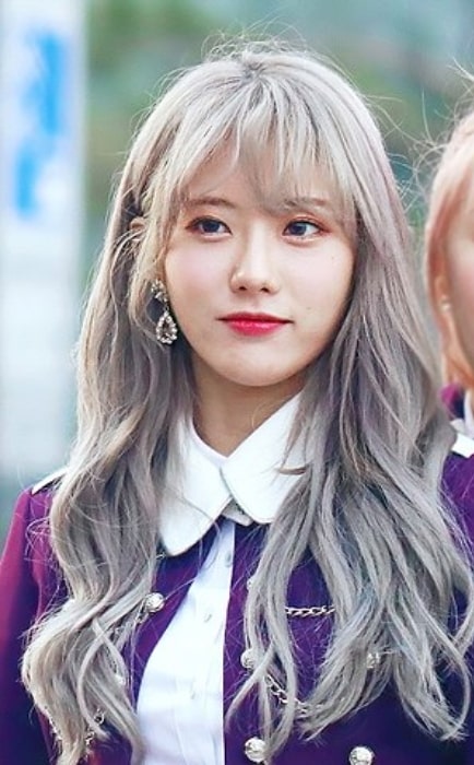 Luda in 2018