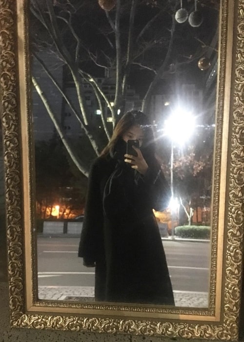 Dani as seen while taking a mirror selfie in December 2018