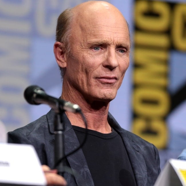 Ed Harris as seen while speaking at the 2017 San Diego Comic Con International, for 'Westworld', at the San Diego Convention Center in San Diego, California