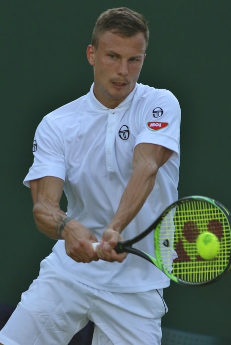 Márton Fucsovics pictured at the 2019 Wimbledon Championships