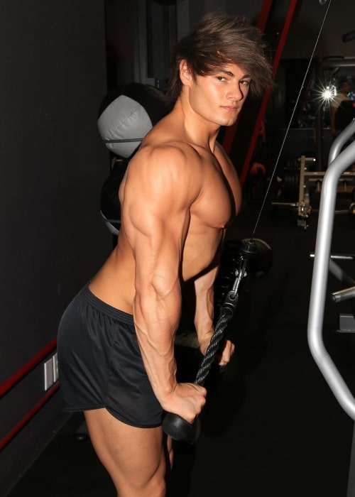 Jeff Seid as seen in a picture that was taken while performing a tricep pulldown in January 2023, at a gym in Hamburg, Germany