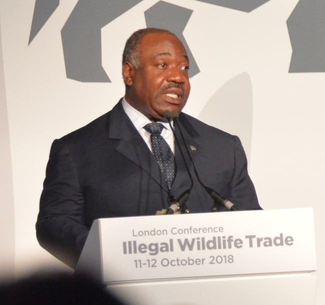 Ali Bongo Ondimba as seen while speaking at the Illegal Wildlife Trade Conference in London in October 2018