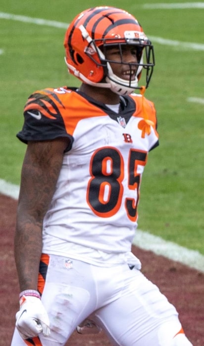 Tee Higgins as wide receiver with the Cincinnati Bengals during a game against the Washington Football Team at FedEx Field in Landover, Maryland on November 22, 2020